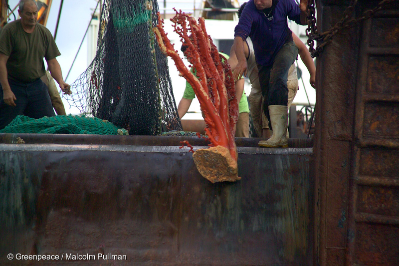 The fast-track bill could see more bottom trawling