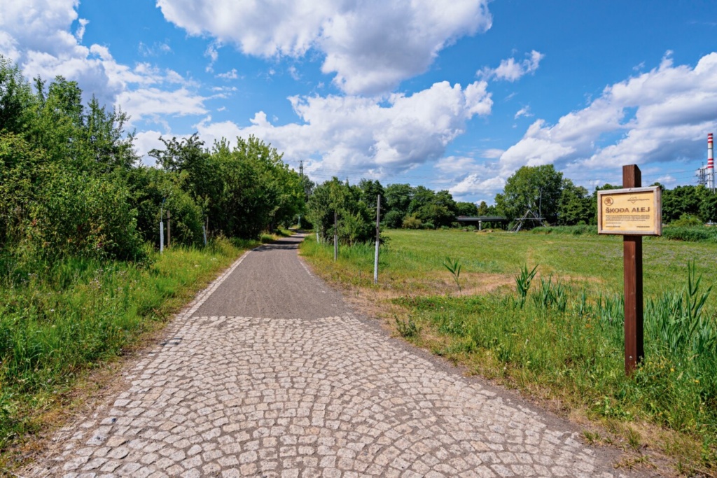 International Day for Biological Diversity: Škoda Auto supports environmental protection and sustainability measures worldwide International Day for Biological Diversity: Škoda Auto supports environmental protection and sustainability measures worldwide