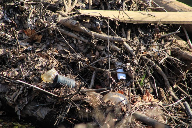Stream banks along the Reedy River near First Baptist Greenville have been damaged, allowing sediment and litter to enter the waterway. A riparian buffer ordinance would line the area with at least 50 feet of protected land from the stream bank inland.