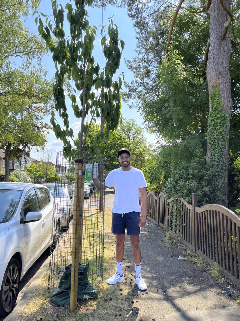 Hundreds of new trees planted in Harrow as residents and council unite Harrow Online Hundreds of new trees planted in Harrow as residents and council unite Harrow Online
