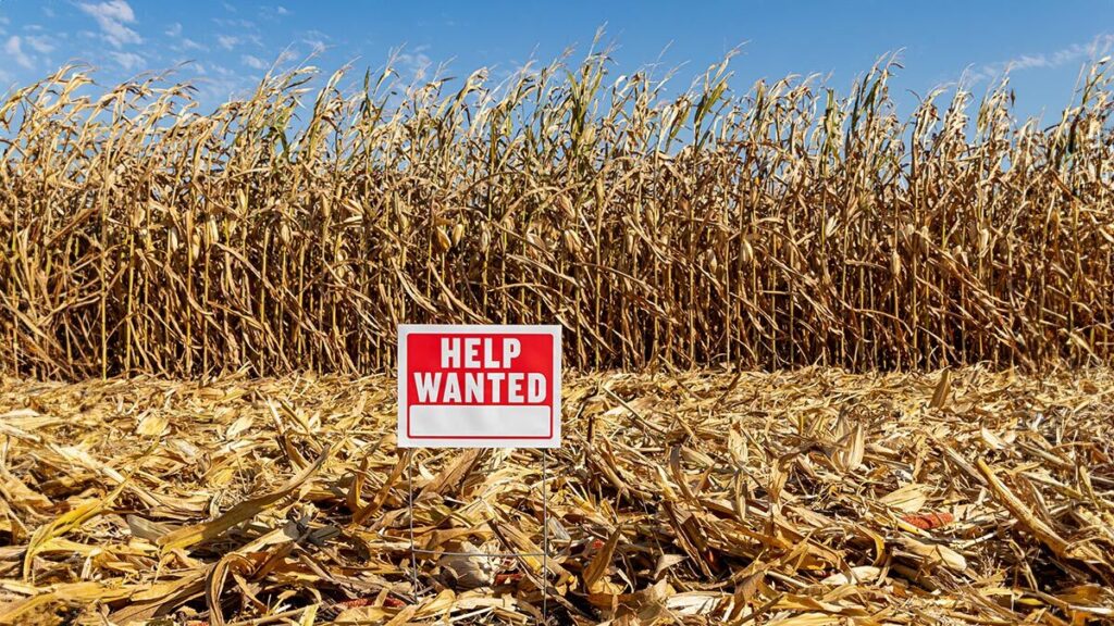 Creative Strategies for Recruiting Talent During a Labor Shortage