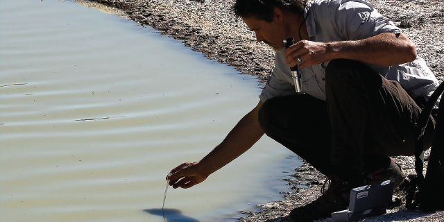 (Brian van der Brug/Los Angeles Times via Getty Images)