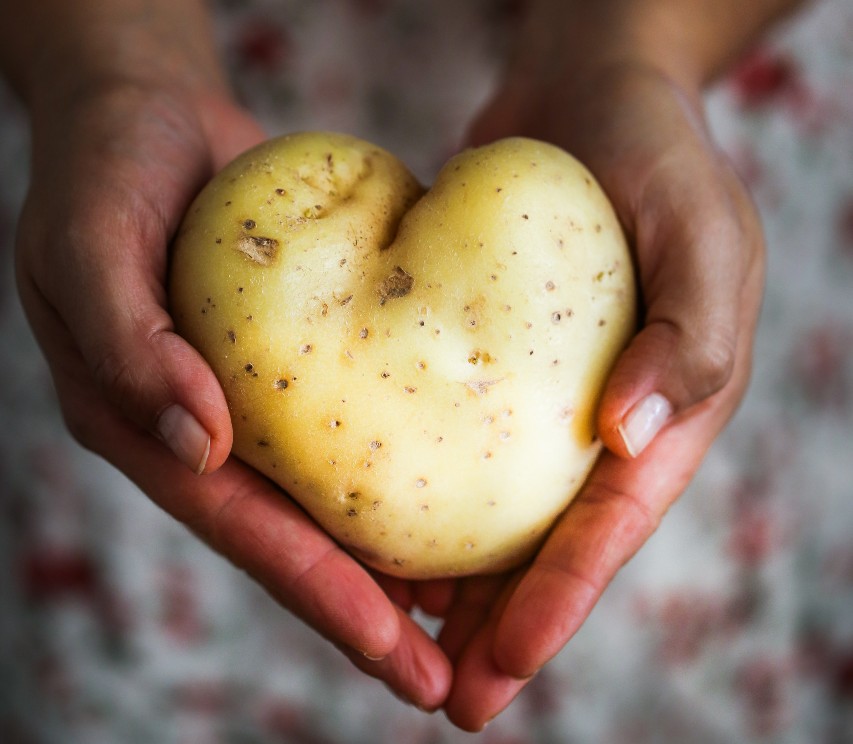 Leading by Example: Bangladesh’s Response to Humanitarian Crises in South Asia and Beyond Leading by Example: Bangladesh’s Response to Humanitarian Crises in South Asia and Beyond