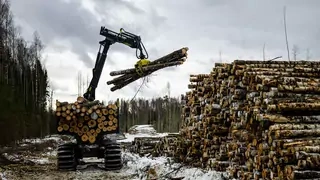 A logging crane loads wood onto a truck.