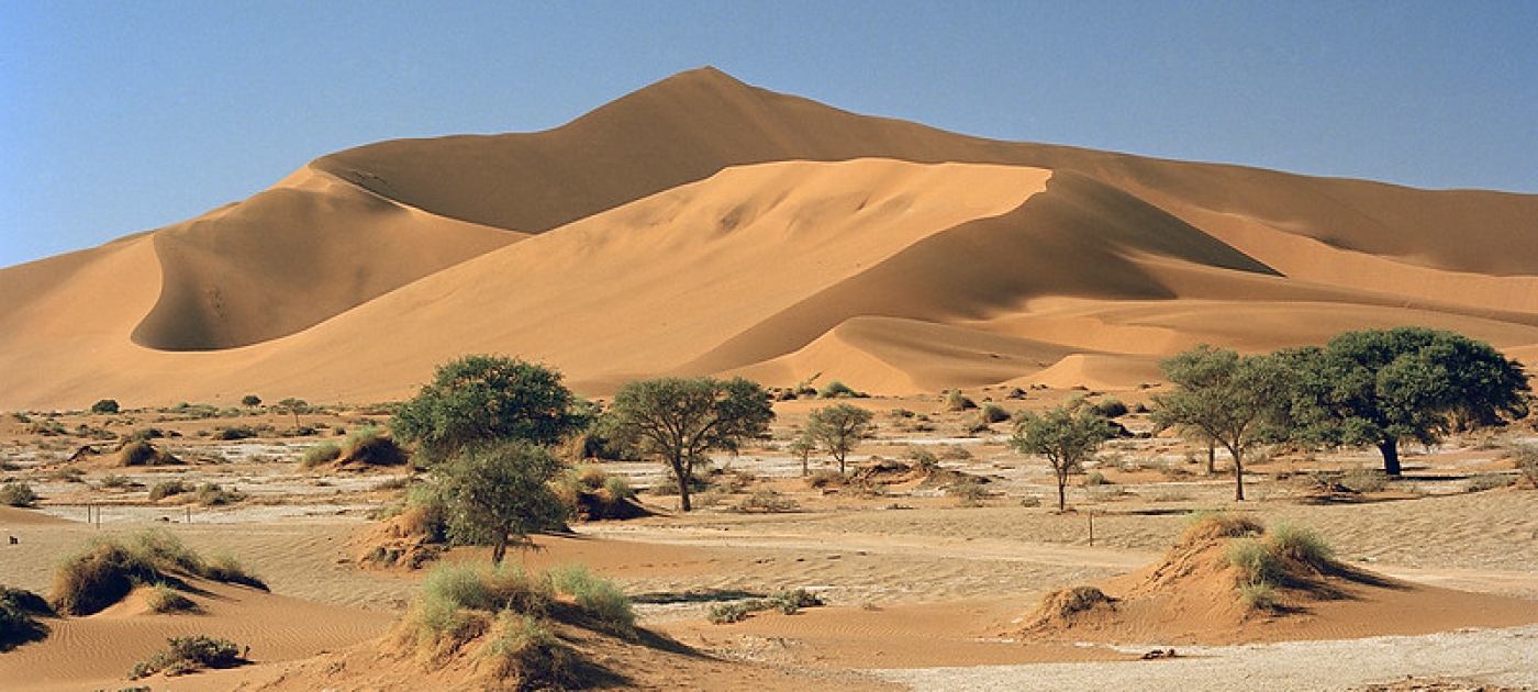 Six ways nature can protect us from climate change