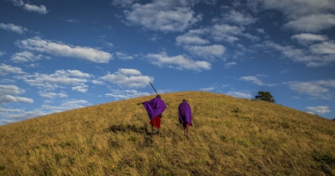 3 ways Indigenous knowledge protects nature