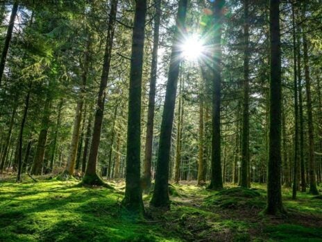 Why investors should consider investing in nature Why investors should consider investing in nature