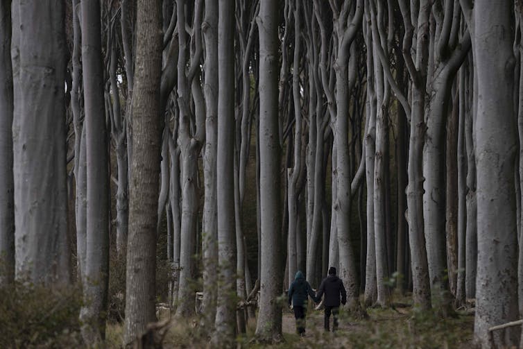 A couple holding hands walk through a forest.