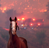 You've likely seen this ranch on-screen — burned by wildfire, it awaits its next act