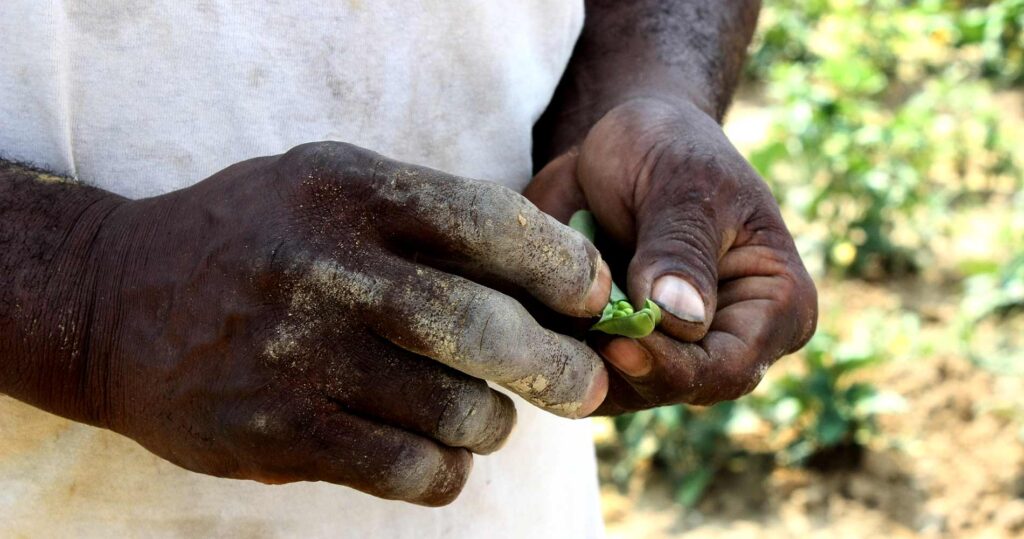 Hunger Relief Hunger Relief