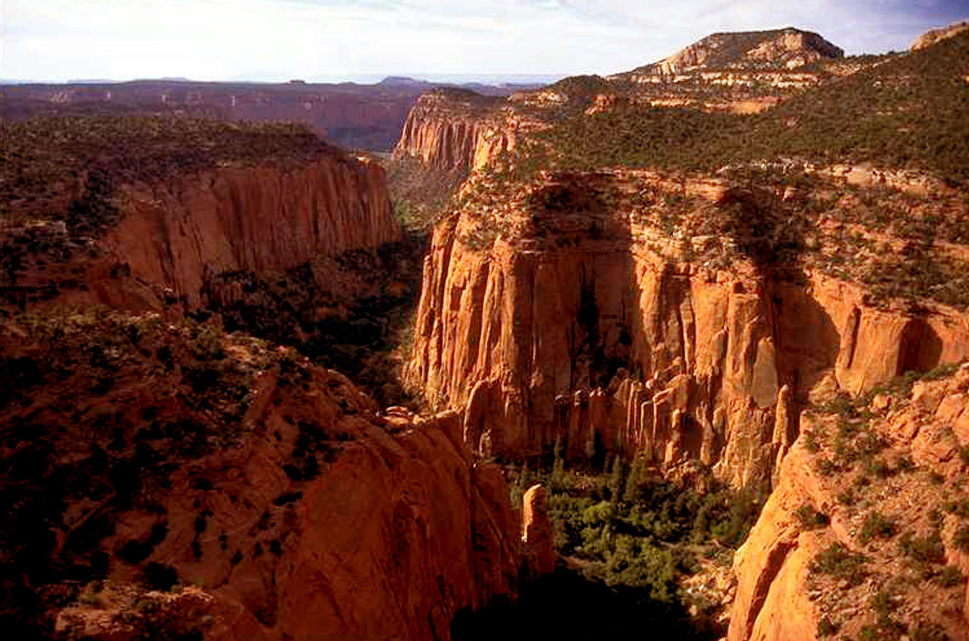 The Upper Gulch section of the Escalante Canyons within Utah's Grand Staircase-Escalante National Monument. The Upper Gulch section of the Escalante Canyons within Utah's Grand Staircase-Escalante National Monument.