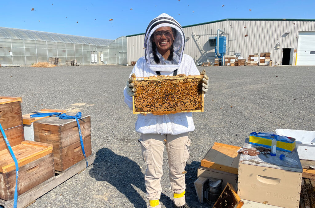 Team Mentoring Program boosts student success | WSU Insider