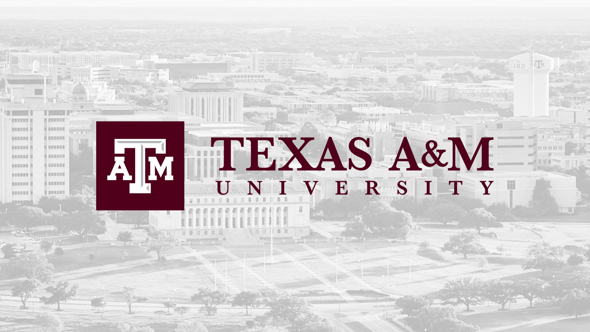 Support for Academic Success at Texas A&M