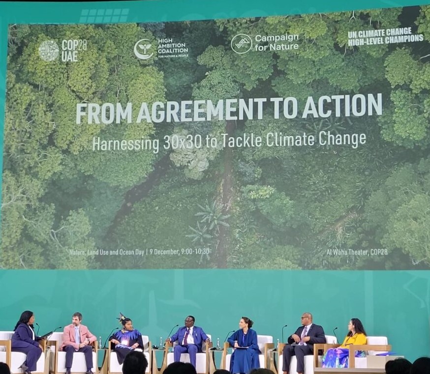 Acting Assistant Secretary Littlejohn leads a panel at COP28. She is sitting on stage with other presenters.