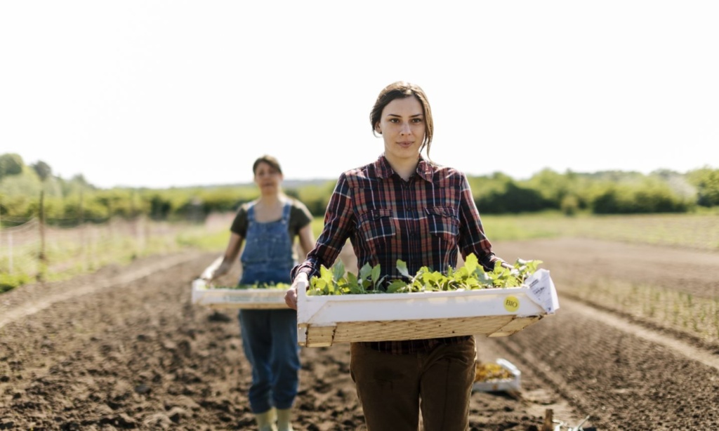 Farm Grants: How to Get Free Money in 2024 Farm Grants: How to Get Free Money in 2024