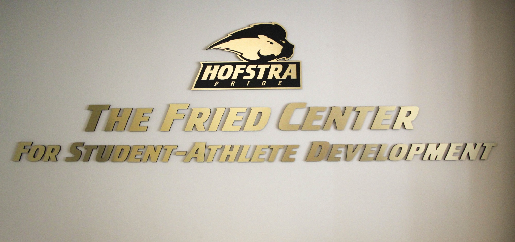 Hofstra Athletics - The Fried Center