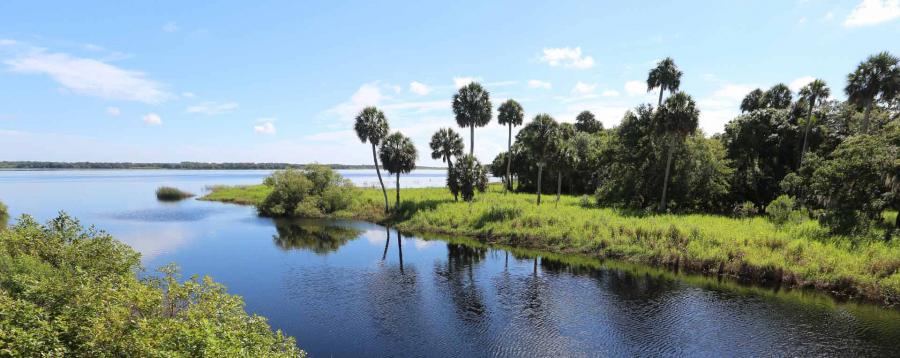 Myakka River State Park Myakka River State Park