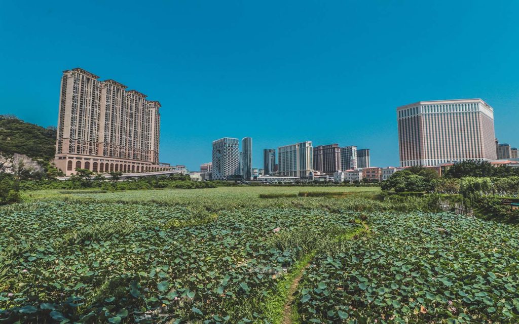 World Environment Day: Discussing the state of Macao’s environment with Joe Chan