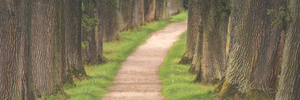 2023 ePortfolios: Capstone ePortfolio Showcase: B.A. in Philanthropic Studies: Degrees & Programs: Academics: Lilly Family School of Philanthropy: Indiana University Indianapolis