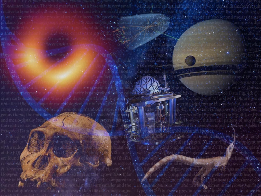 The Top Ten Scientific Discoveries of the Decade The Top Ten Scientific Discoveries of the Decade