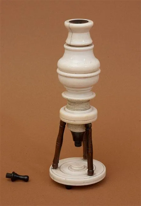 Let Us Now Praise the Invention of the Microscope