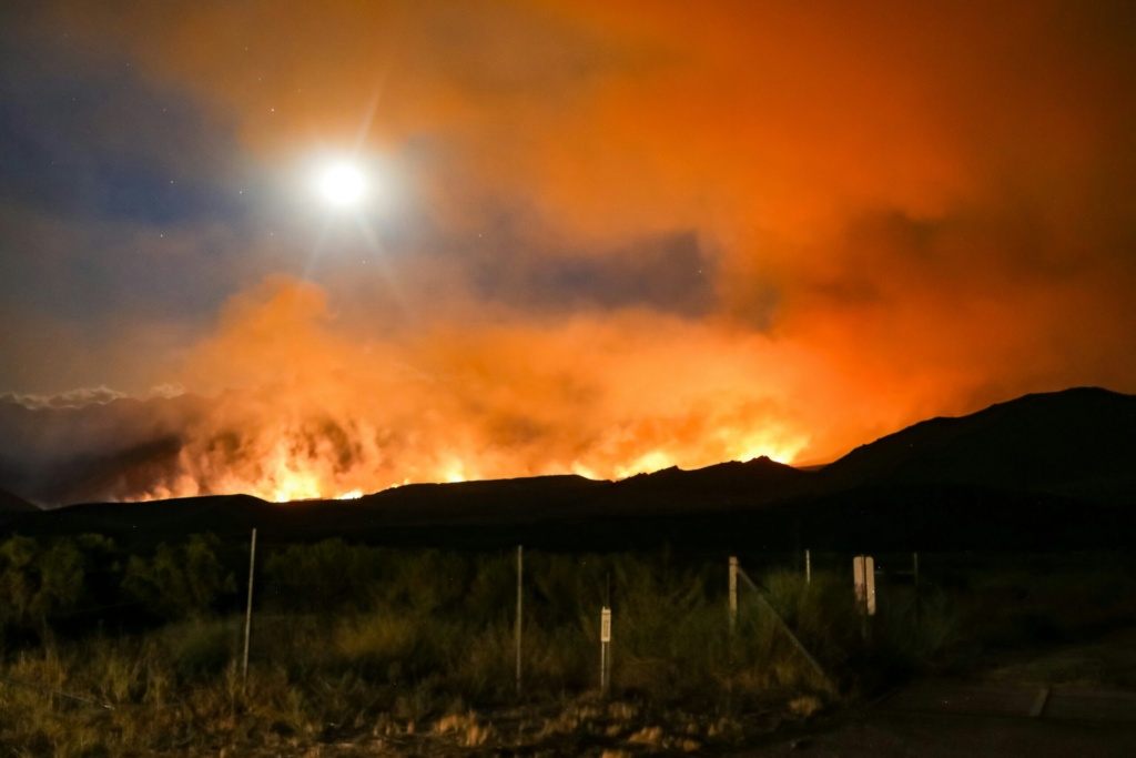 2024 North American Wildfires – Center for Disaster Philanthropy 2024 North American Wildfires – Center for Disaster Philanthropy