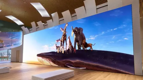 Sony Sony 16K display