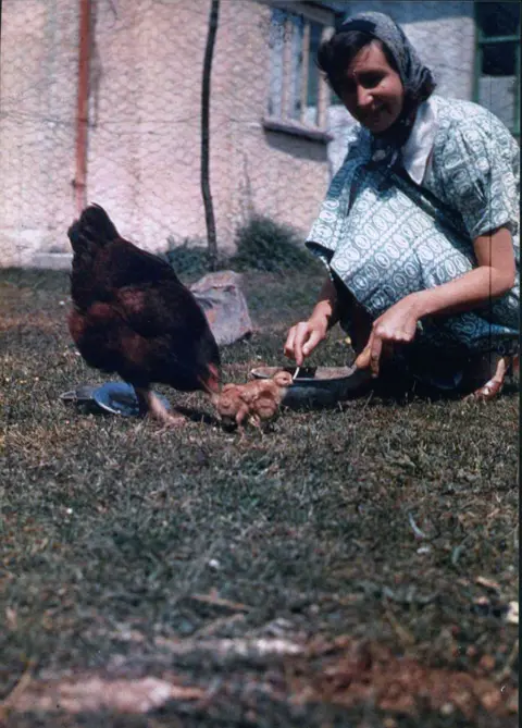 Carolyn Bevan Margaret Hodge feeding chickens