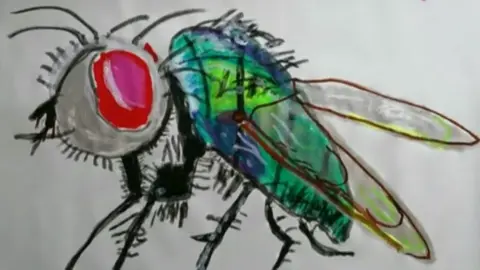 Vincent Fly