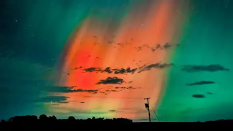 Pia/BBC Weather Watchers Red and green glow of the aurora behind trees and an electricity pole