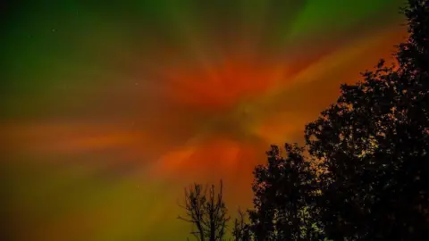 Georgyman/BBC Weather Watchers Aurora corona visible from Bathgate. Red and green colours  appear behind trees.