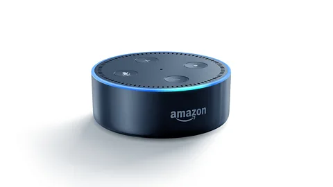 Amazon The Amazon Echo has taken voice recognition into people's living rooms (Credit: Amazon)