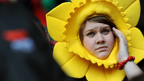 Getty Images The scientific name for daffodil is narcissus (Credit: Getty Images)