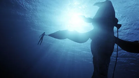 Alamy Given the new Avatar is largely water-based, the production team had to conceive all-new tricks to make the aquatic scenes look and feel realistic (Credit: Alamy)