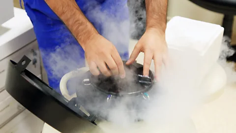 Getty Images Egg freezing is among the proactive fertility treatments women seek (Credit: Getty Images)