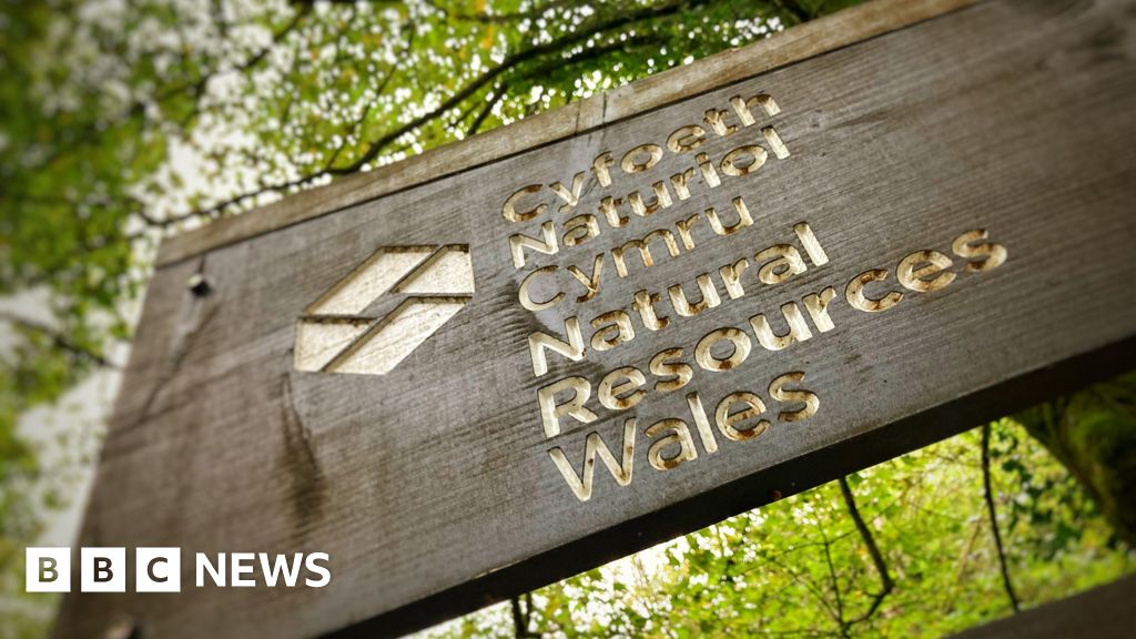 Natural Resources Wales job cuts put nature at risk, campaigners warn Natural Resources Wales job cuts put nature at risk, campaigners warn