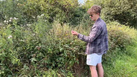 BBC/JULIA LEWIS 20 year old George Eglese picking blackberries