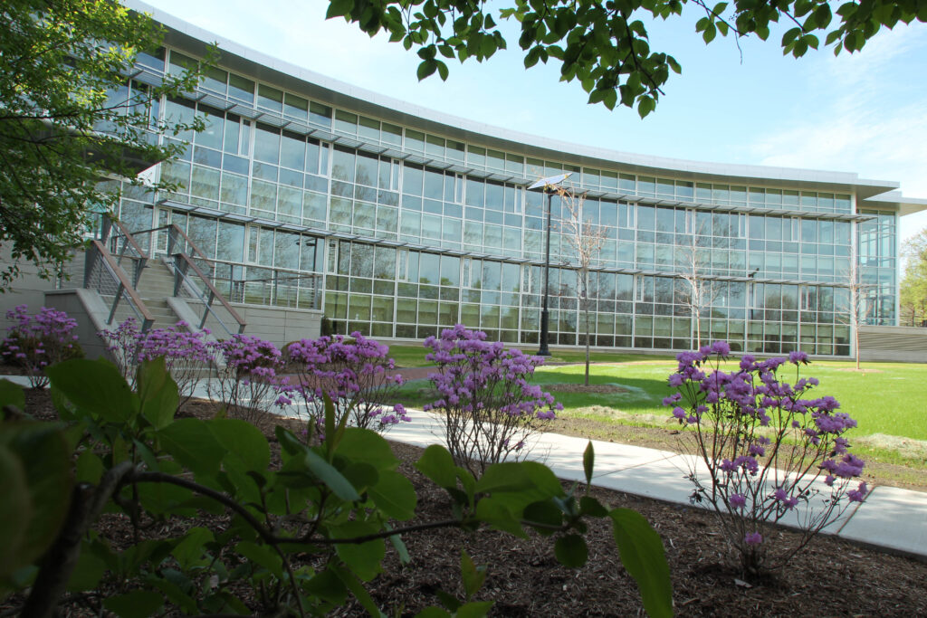 Lewis University