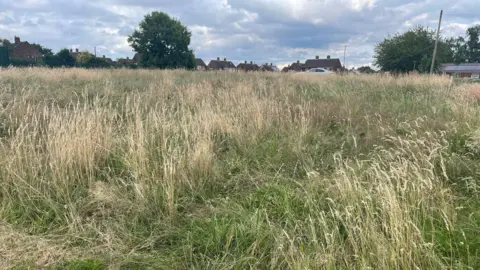 BBC Long grass in Borrowash