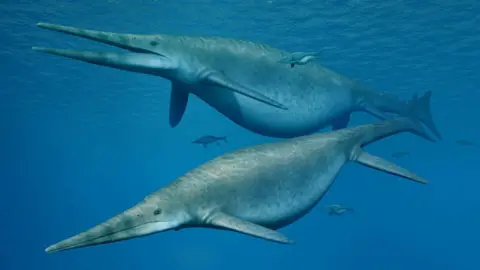 N Tamura Sea reptiles