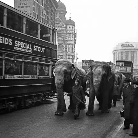 John Turner Circus in town, London 1937