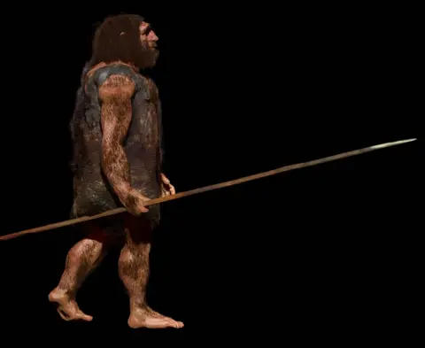 JOHN BAVARO FINE ART/SCIENCE PHOTO LIBRARY Neanderthal image