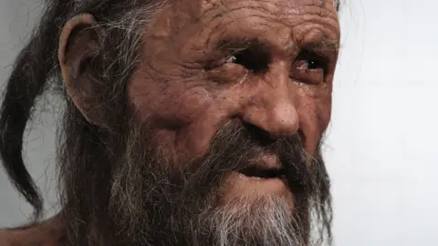 Getty Images A reproduction of Oetzi at the South Tyrol Museum of Archaeology