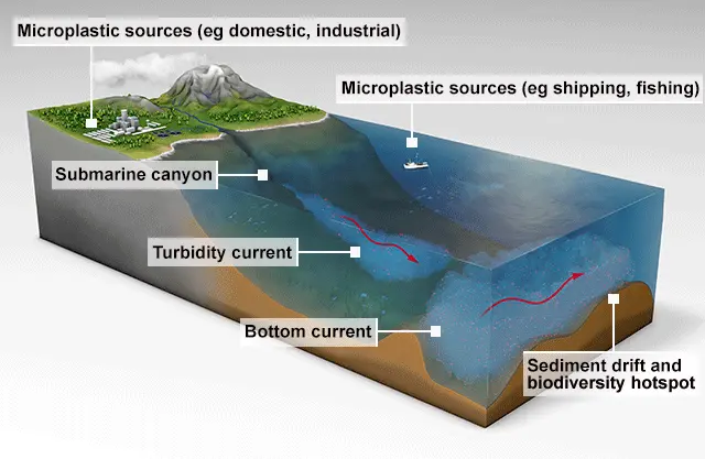 Source: I.Kane/Uni of Manchester Diagram of deep sea movements