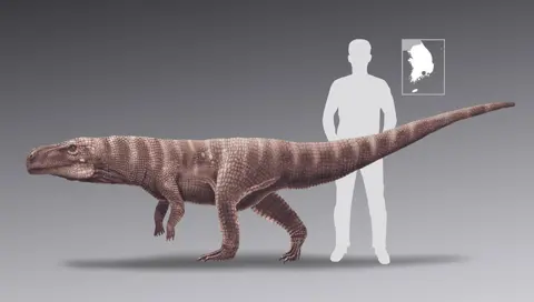 Kyung Soo Kim/CUE Batrachopus size comparison