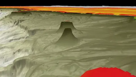 Schmidt Ocean Institute A 3D image showing the new reef