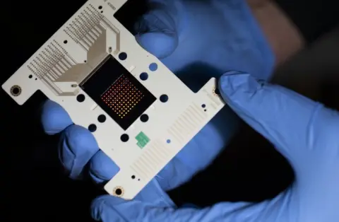 Sean McNeil DNA chip