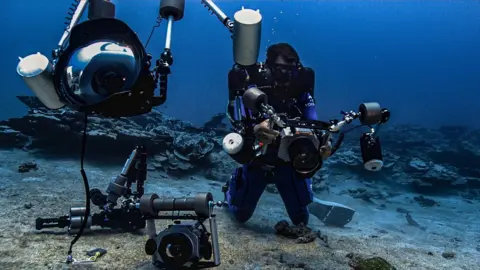 Alexis Rosenfeld Alexis Rosenfeld captures images and footage of the pristine reef