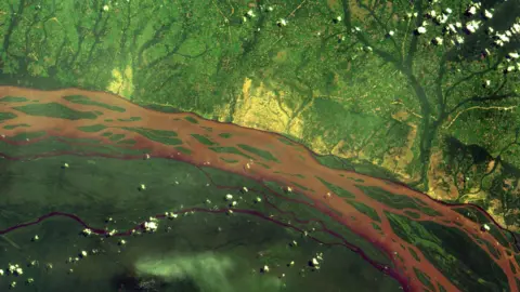 FAO A remote sensing image of a section of the Congo river and surrounding forests