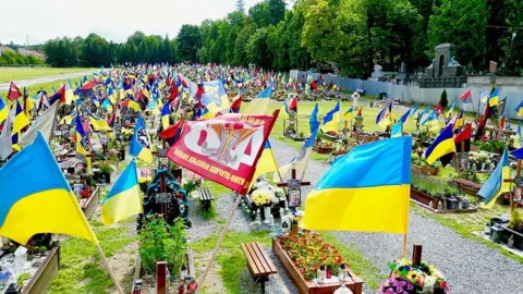 DARREN CONWAY/BBC Cemetery in Lviv with flags for the war dead
